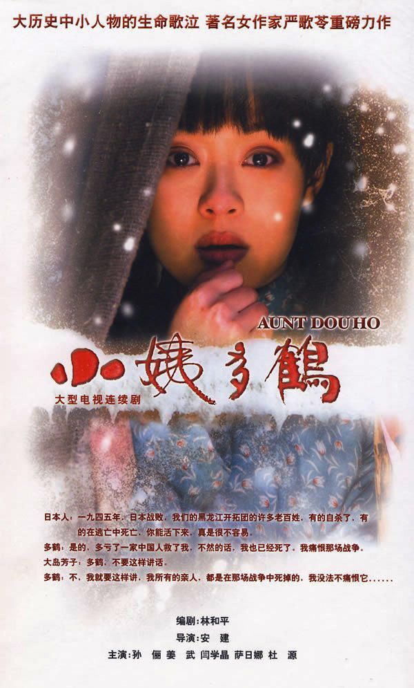 小姨多鹤海报