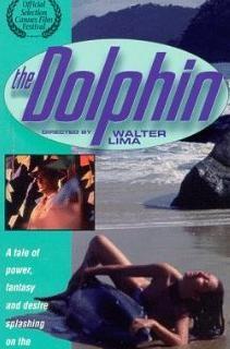 海豚海报