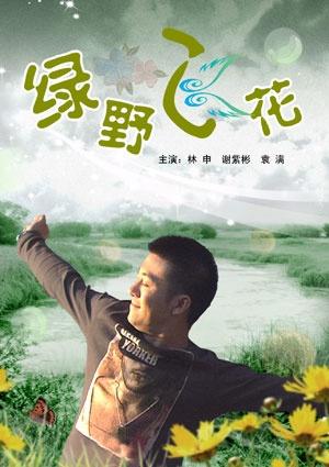 绿野飞花海报