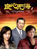 良心无悔海报