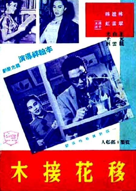 移花接木海报