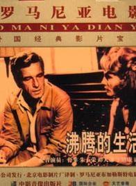 沸腾的生活海报