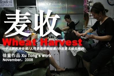 麦收海报