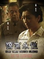 誓言永恒海报