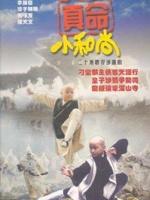 真命小和尚海报