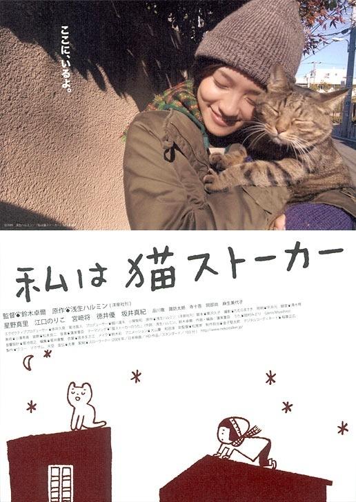 猫咪跟踪狂海报