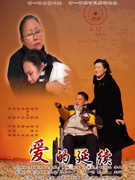 爱的延续海报