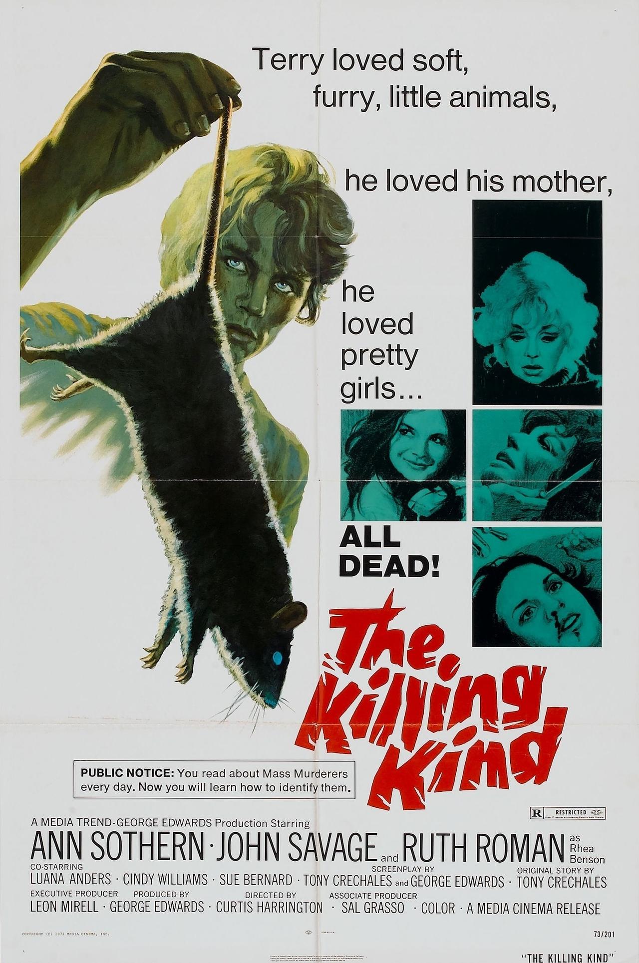 The Killing Kind海报