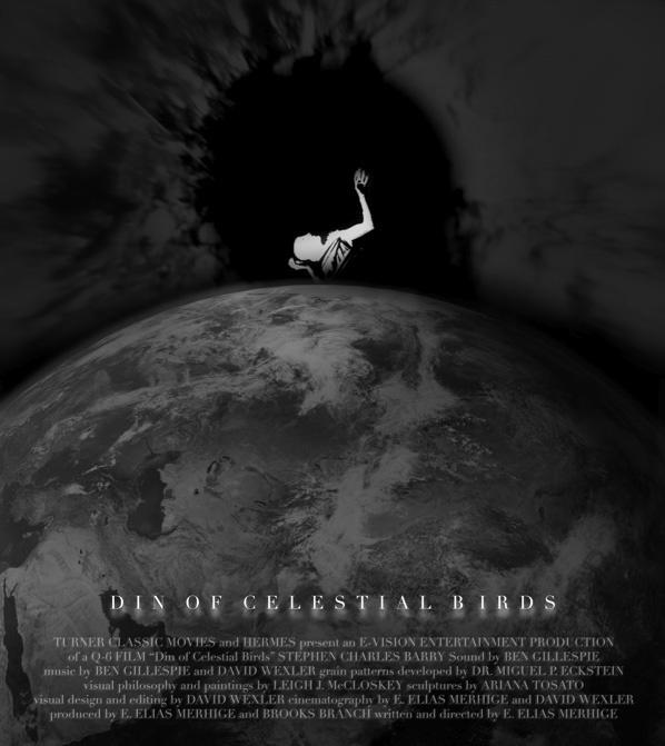 Din of Celestial Birds海报