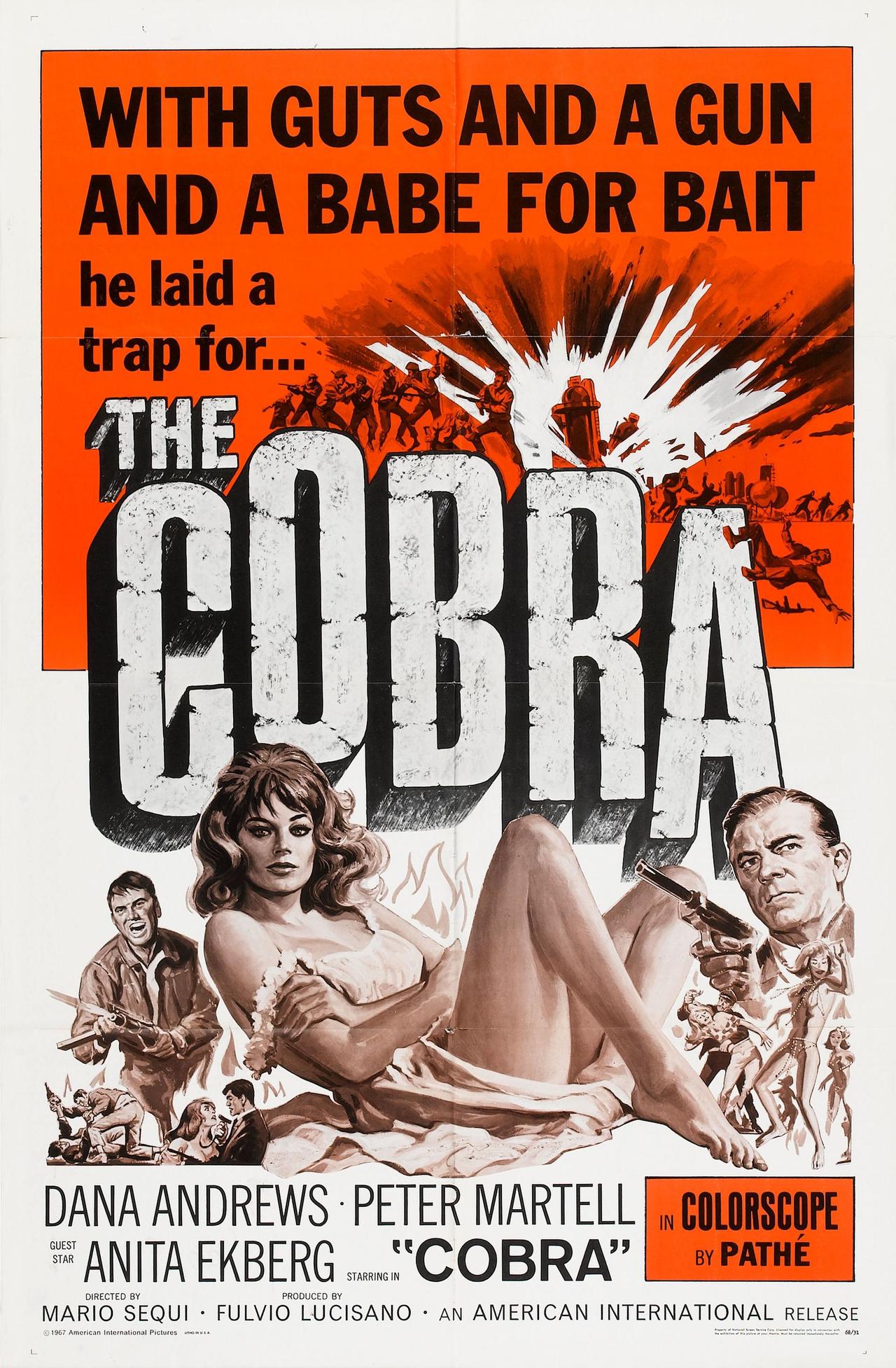 Il cobra海报