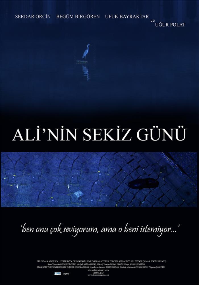 风流女邻居海报