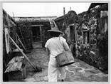 西屿坪海报