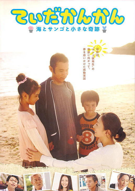 阳光灿灿：大海、珊瑚和小小的奇迹海报