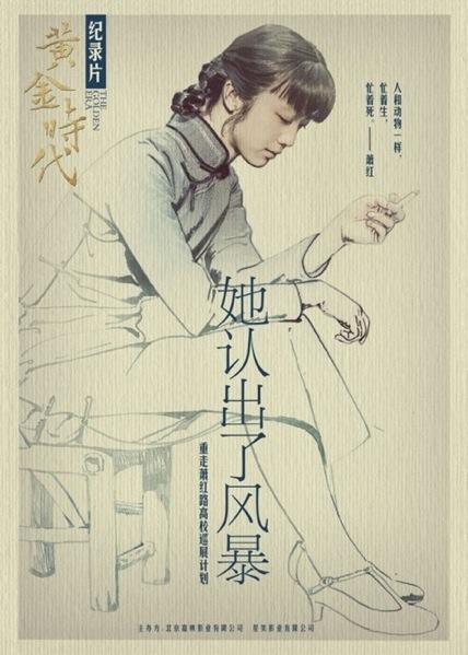 她认出了风暴海报