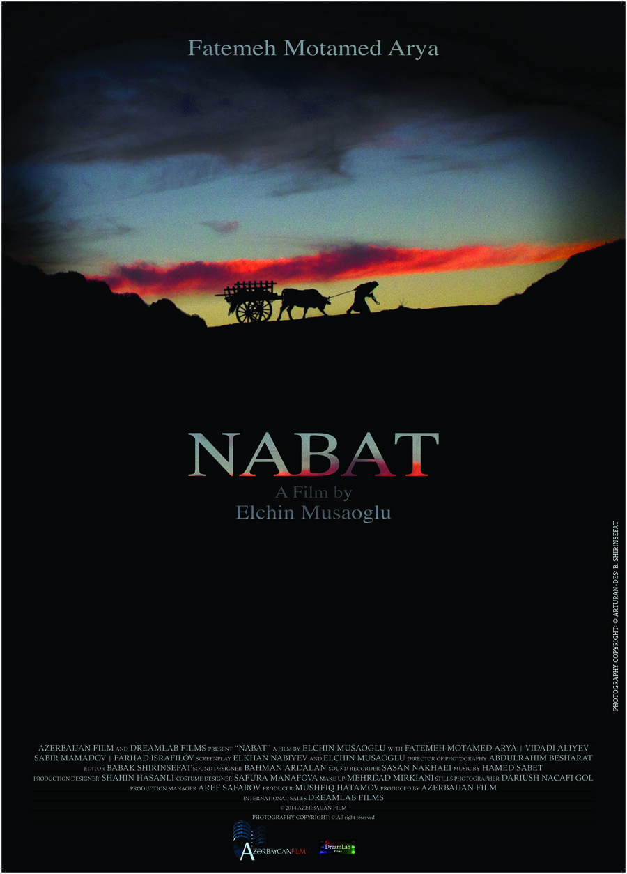 Nabat海报