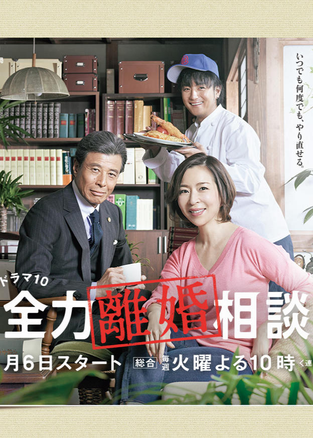 全力离婚相谈海报
