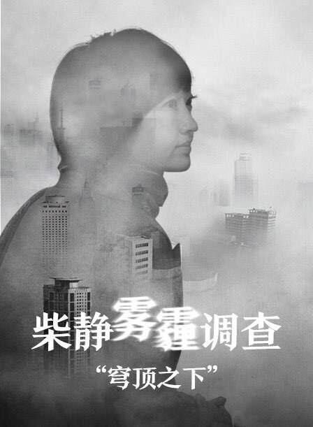 穹顶之下海报