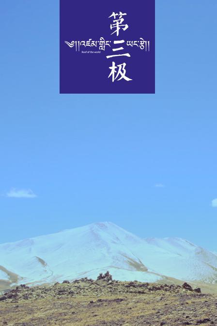 第三极海报