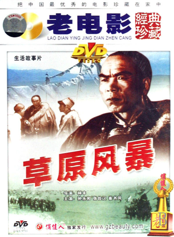 草原风暴海报