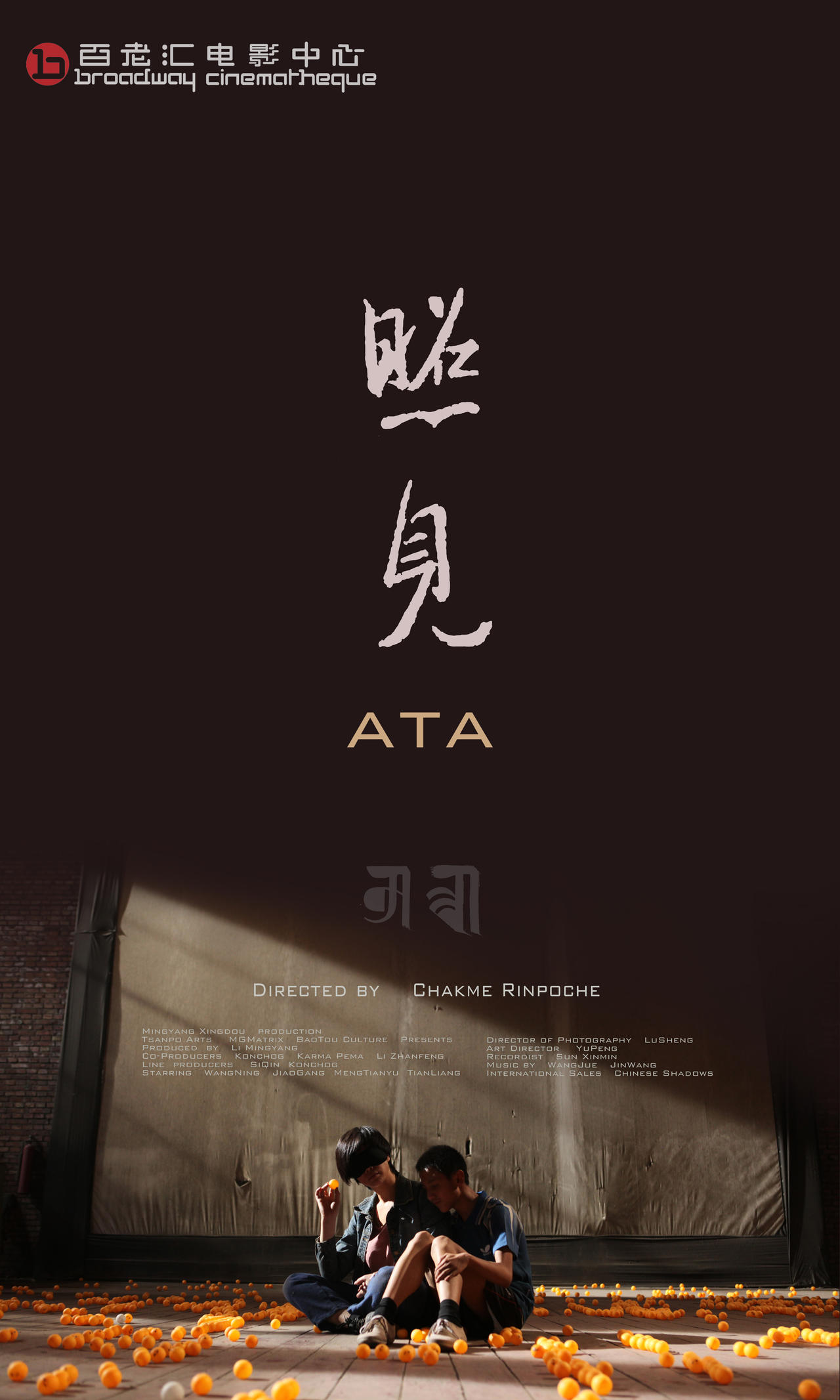 照见海报