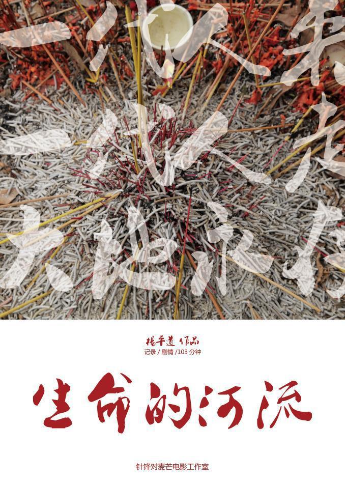 生命的河流海报
