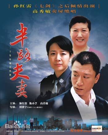 半路夫妻海报