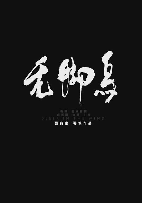 无脚鸟海报