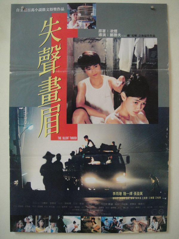 失声画眉海报