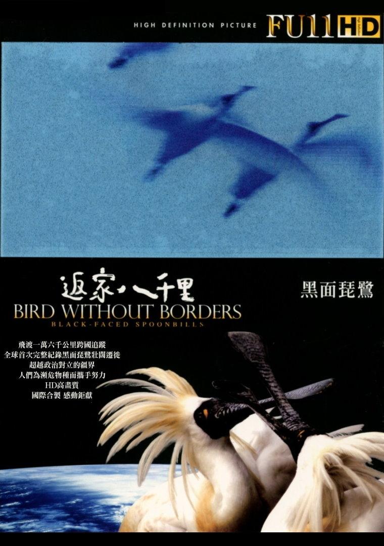 返家八千里：黑面琵鹭海报