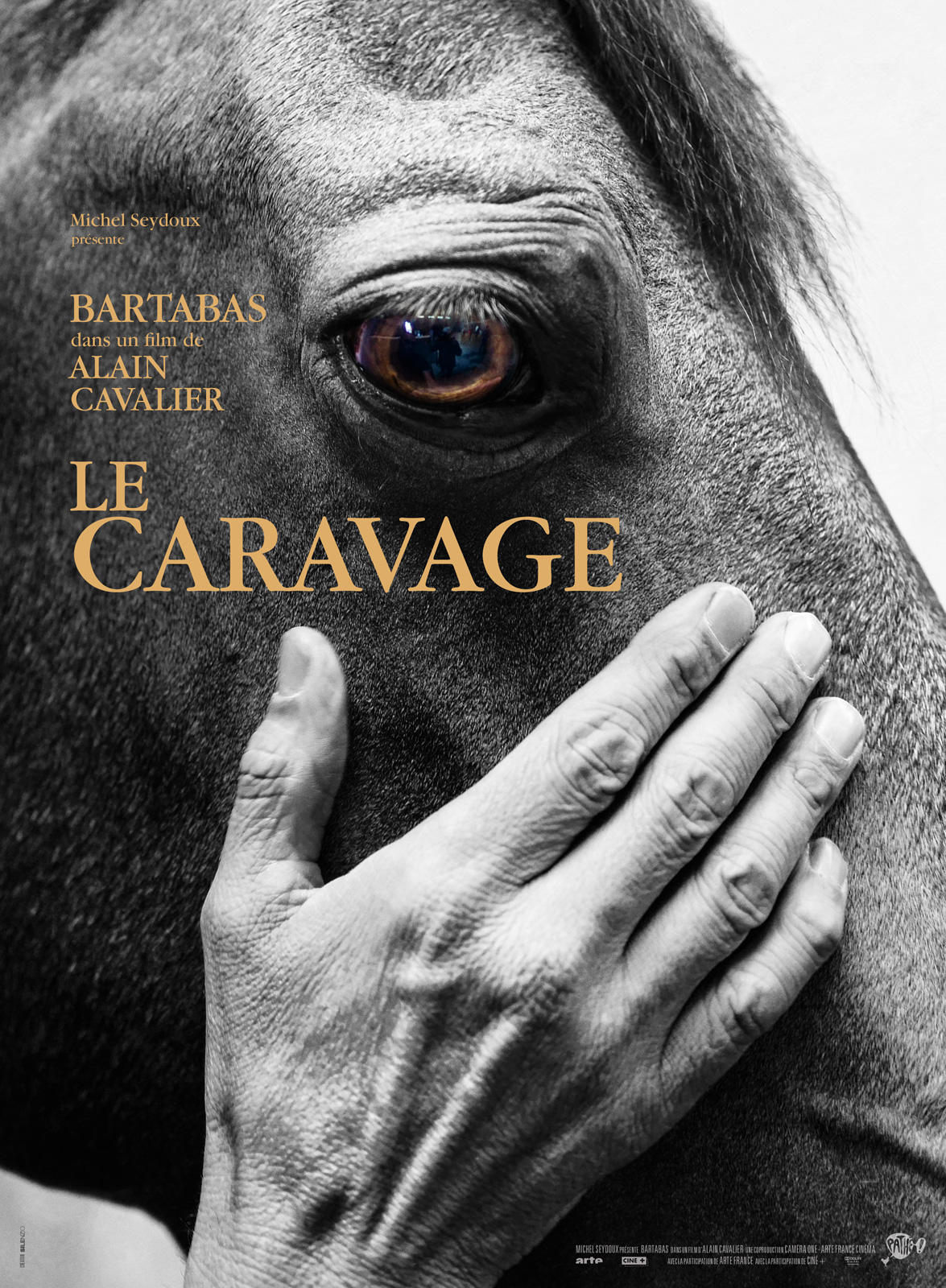 Le Caravage海报