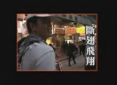 断翅飞翔海报