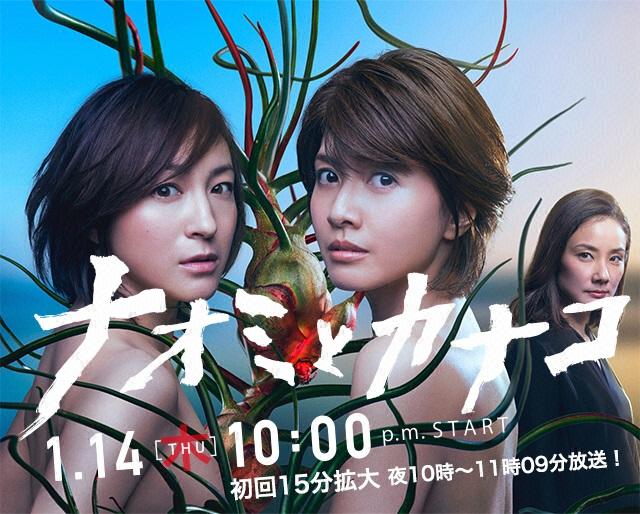 直美与加奈子海报