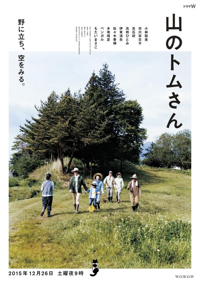 山中的汤姆先生海报