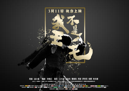我不是王毛 海报