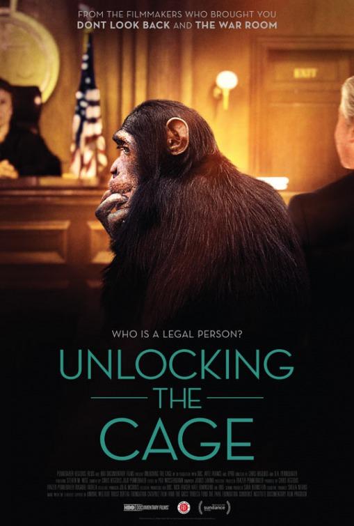 Unlocking the Cage海报