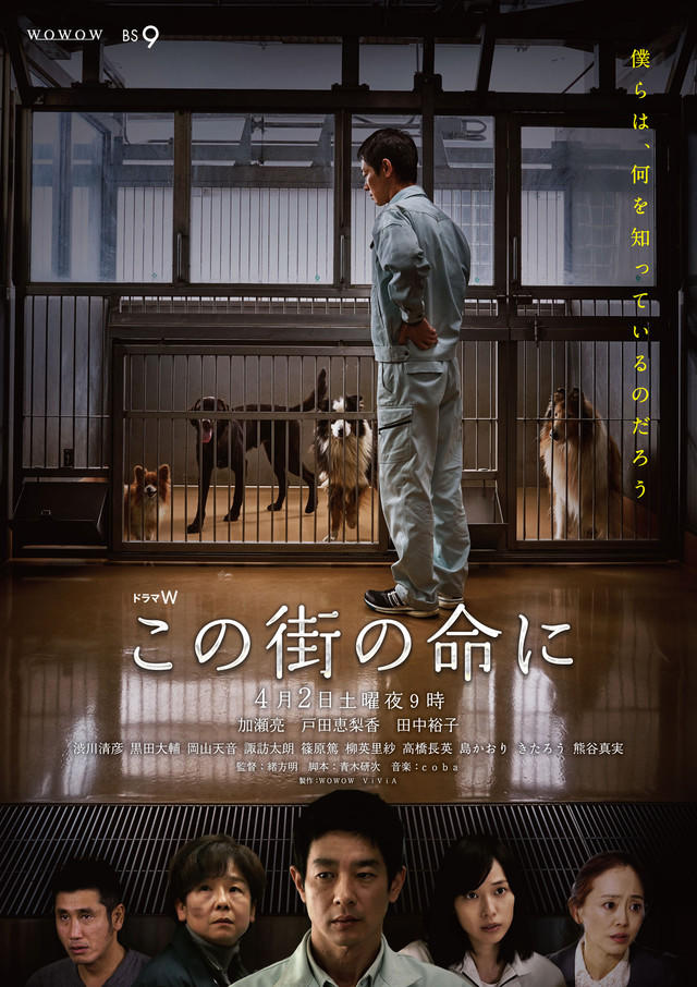 为了这条街的生命海报