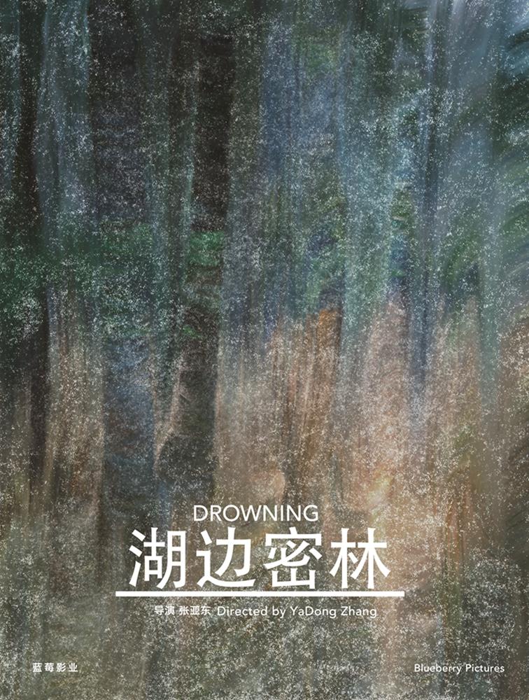 湖边密林海报