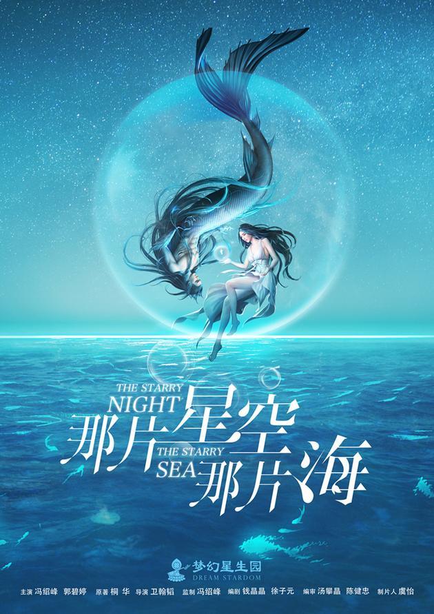 那片星空那片海海报