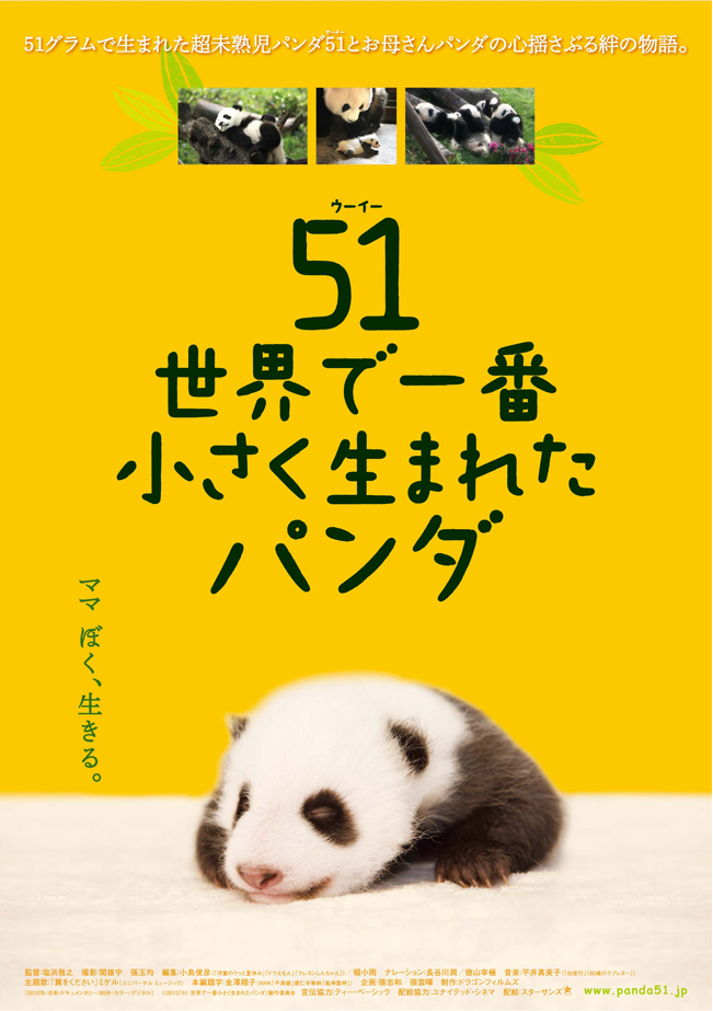大熊猫51的故事海报
