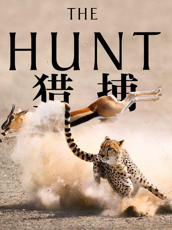 猎捕海报