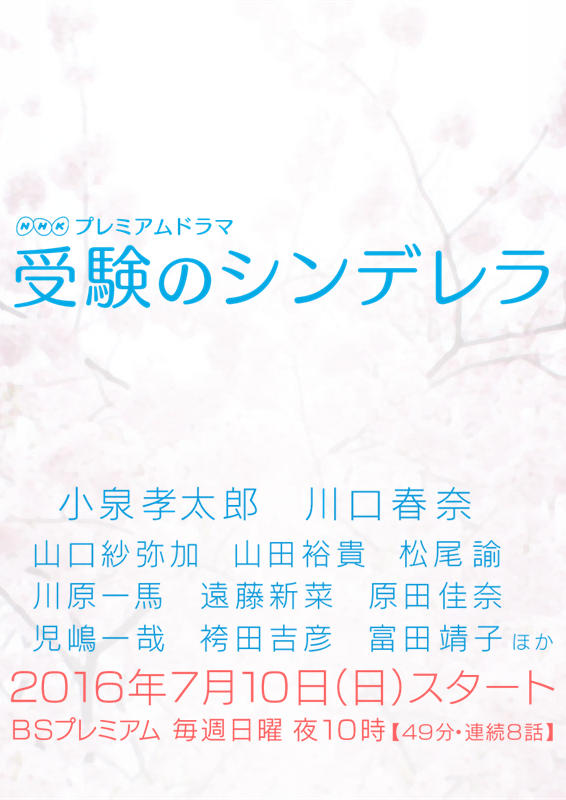 应试灰姑娘海报