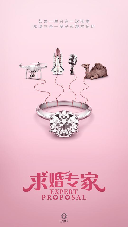 求婚专家 海报