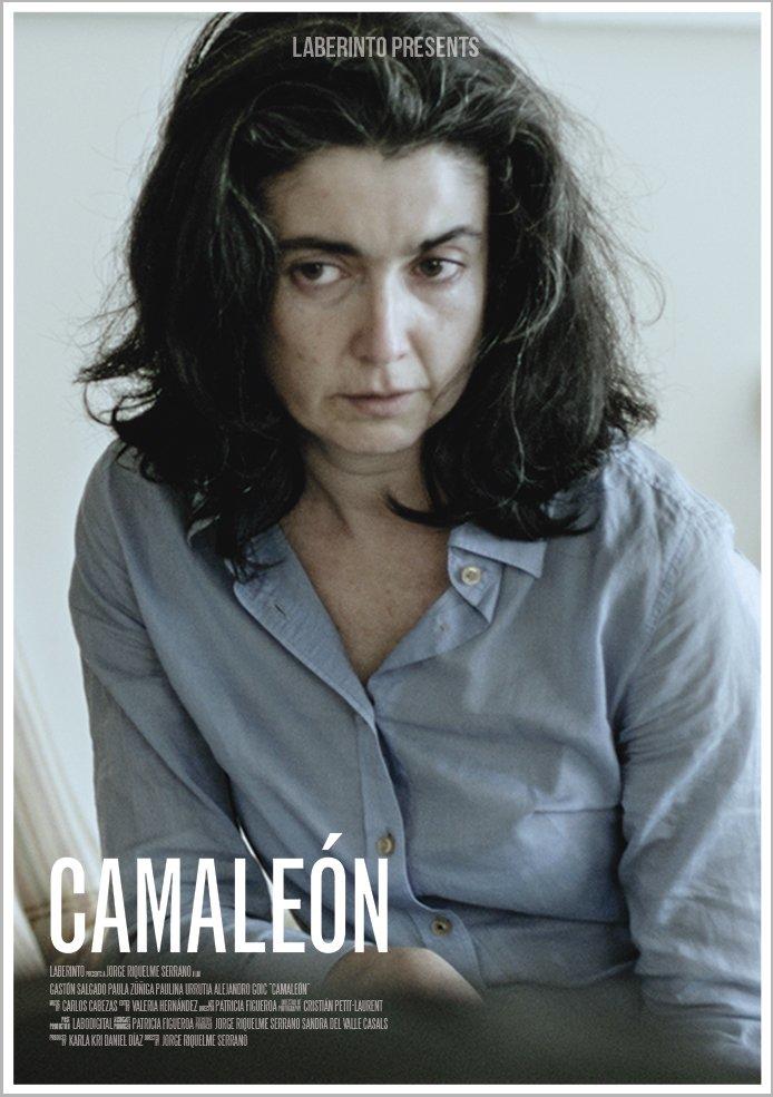 Camaleón海报