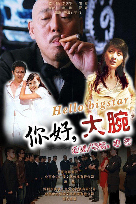 你好大腕海报