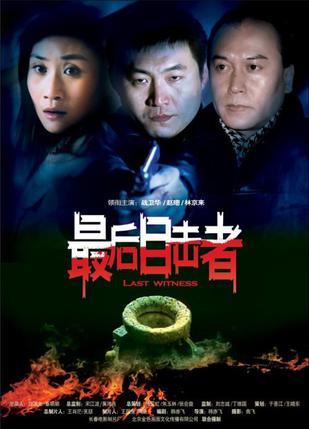 最后的目击者海报