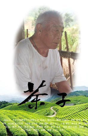 茶子海报