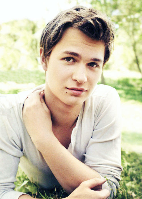 安塞尔·埃尔格特