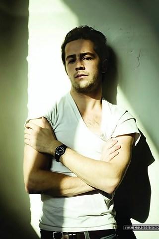 von haeftenjane leeves简·丽芙丝isabel vasquezgloria estefan格劳