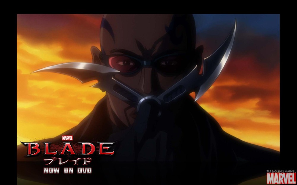 刀锋战士:动画版