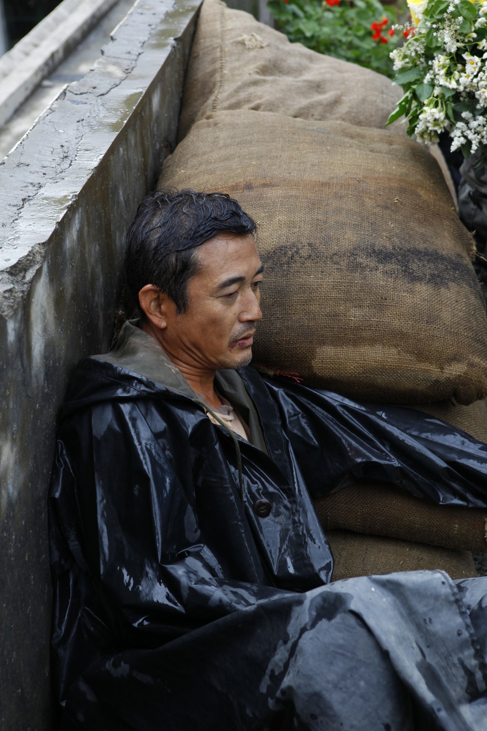 雨中的树